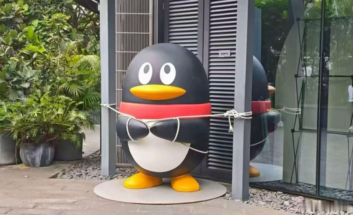 拴Q！ 桦加沙 ​​​