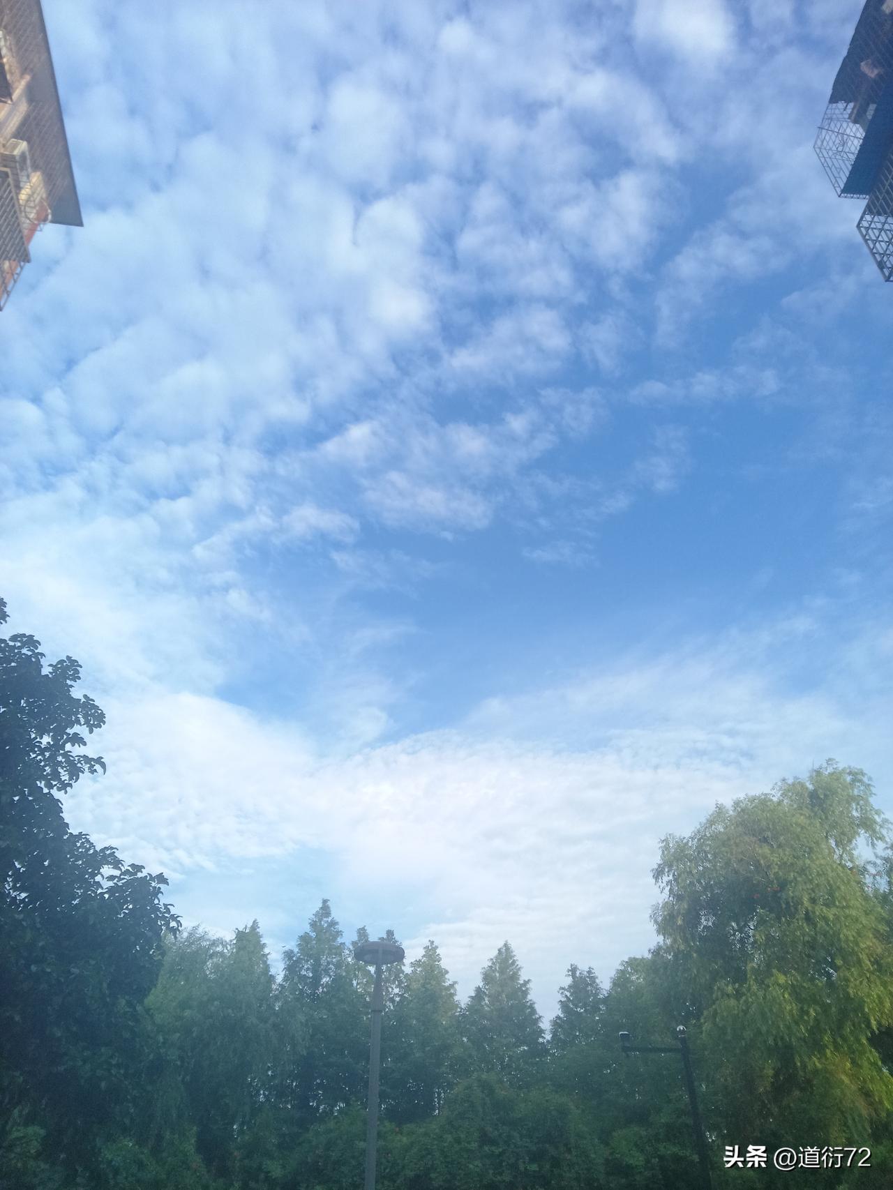 伊朗足球的命运，也是本届世界杯亚洲球队的写照。仅有日本，澳大利亚名列小组第二出线