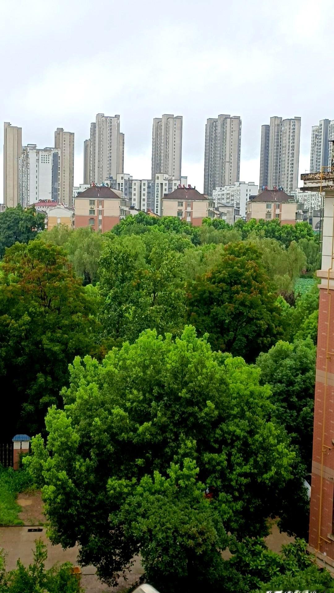 你猜怎么着？
养老金到账短信一响，我正蹲在厨房煮面呢——手机“叮”一声，安徽农金