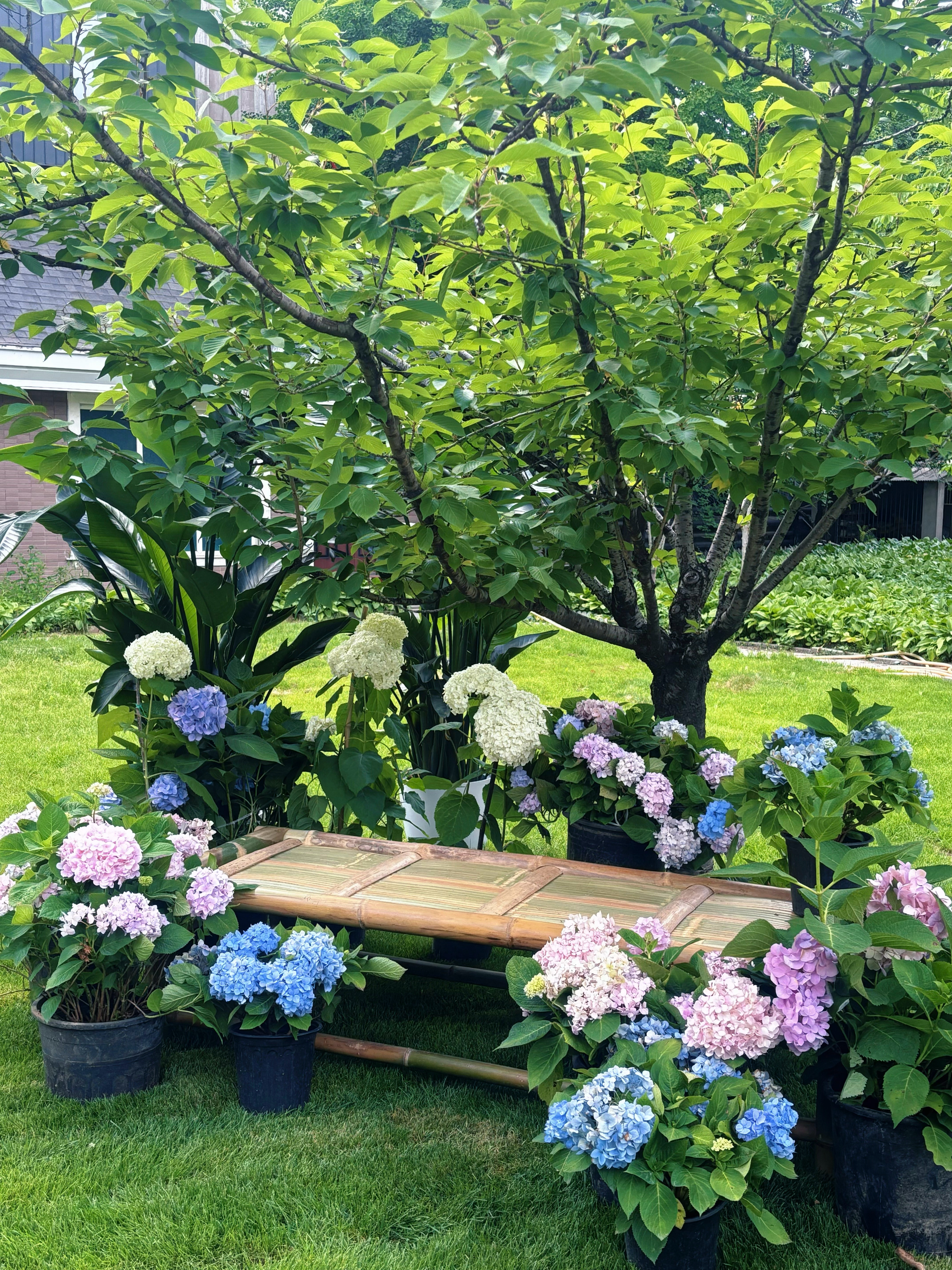 ☀️等一个好天气把初夏浪漫定格进画面天航工作室韩系少女心夏日限定外景布景搭建li