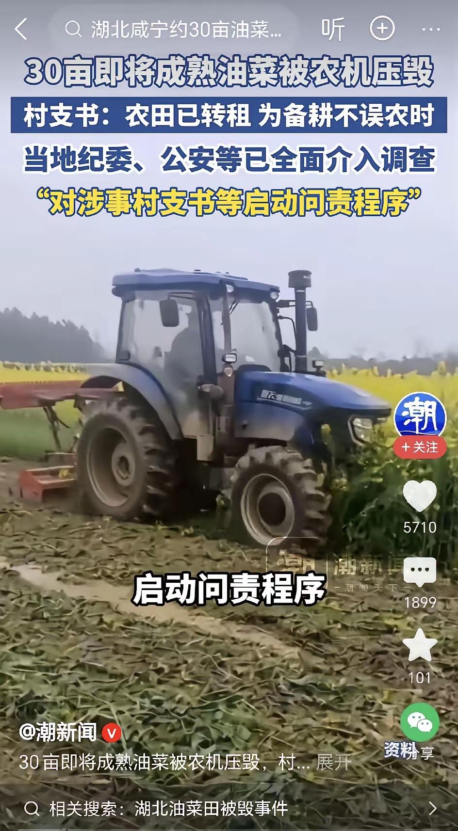 选这种做事蛮横的人当村支书，简直是基层治理的悲哀！

农民辛辛苦苦干满一季，眼看