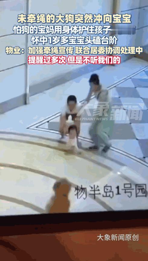 “必须严惩！”广东广州，一女子正带着孩子在楼下玩耍，突然，一条没有栓绳的大狗冲向