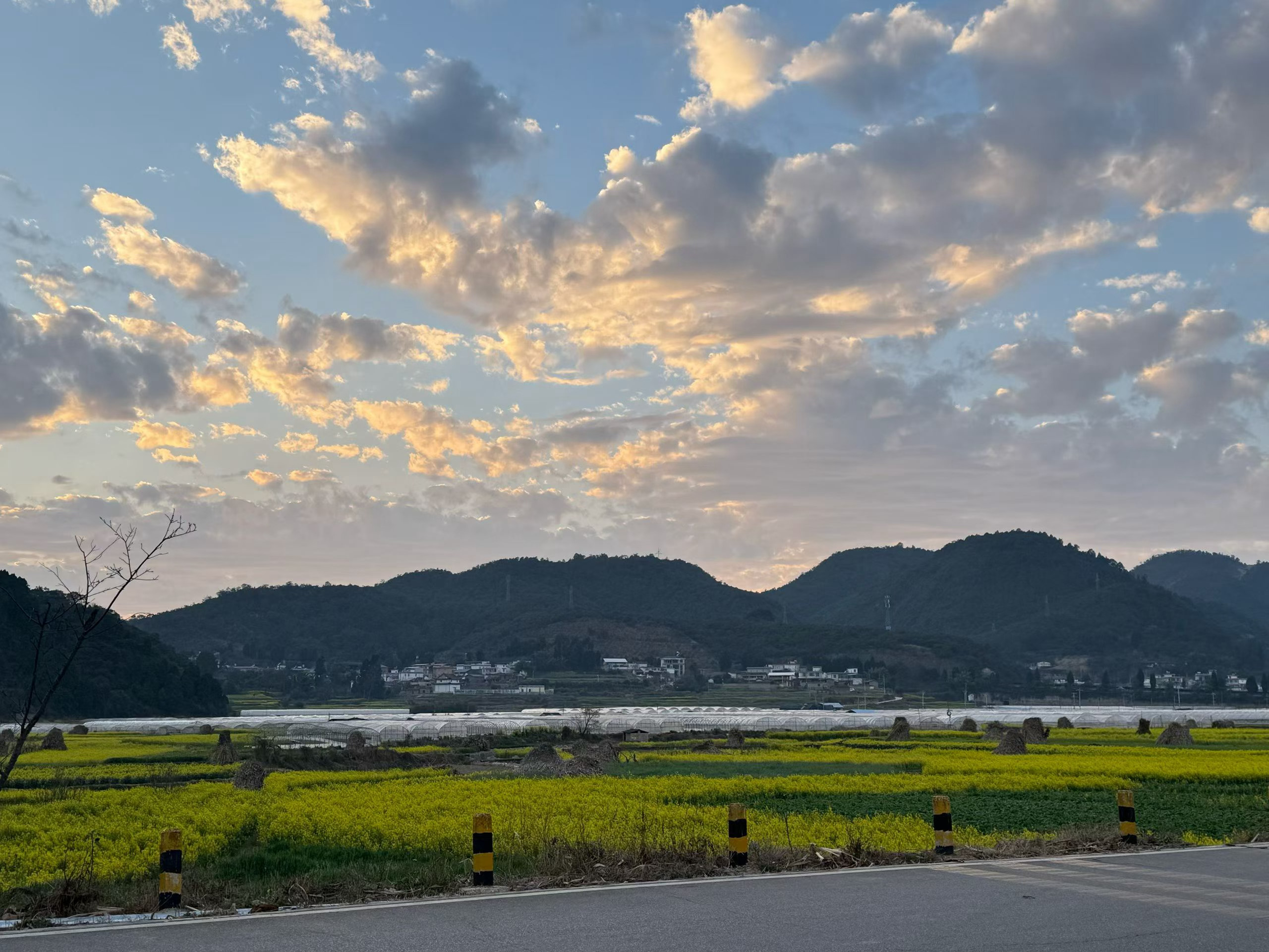 用阅读重塑你的认知我的私人宝藏书单书评 沅水汤汤，为你写信傍晚下班，路过天桥，看