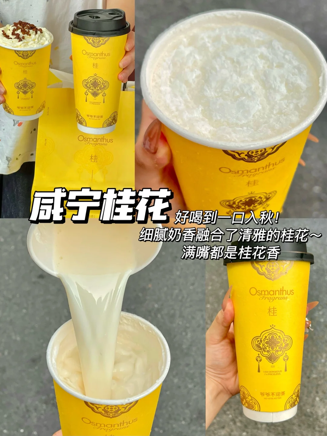 爷爷不泡茶金秋桂花奶茶测评！亲测不踩雷！！