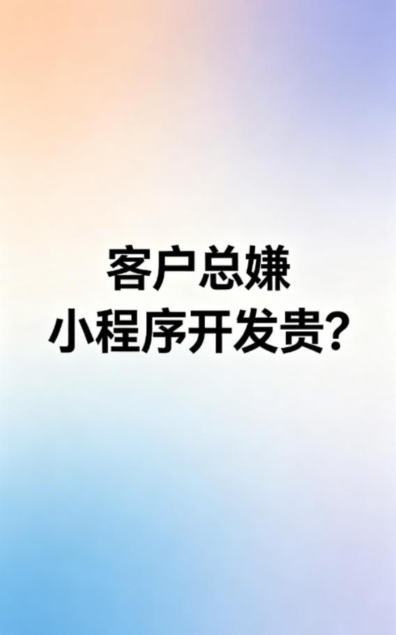 “哥，这小程序能再便宜点不？”
这句话我耳朵都快听出茧子了。每次报完价，客户都像