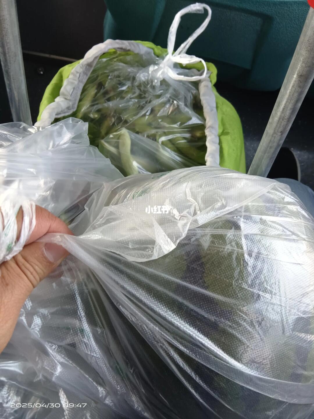 与青岛大姨在公交车上狭路相逢吹者胜
