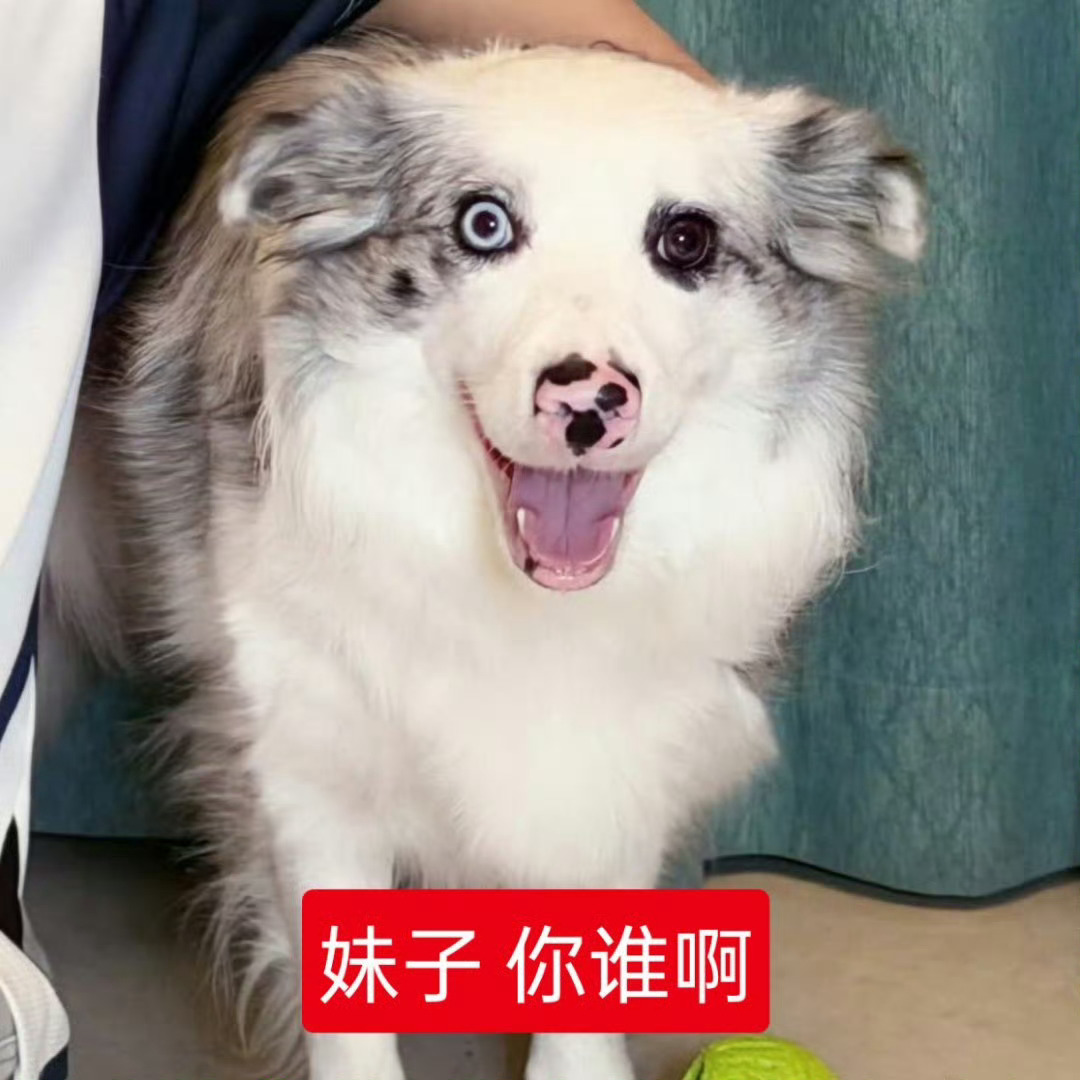 分享图片 ​​​