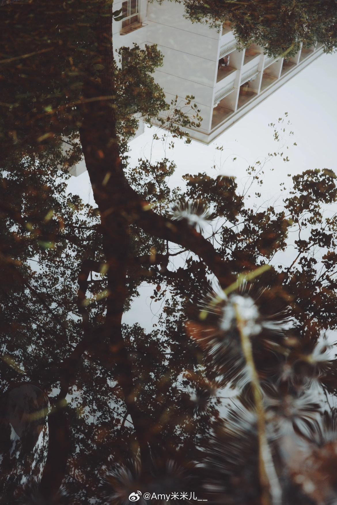 早安  🍃·𝑮𝒐𝒐𝒅 𝒎𝒐𝒓𝒏𝒊𝒏𝒈·时光慢慢流淌，不用