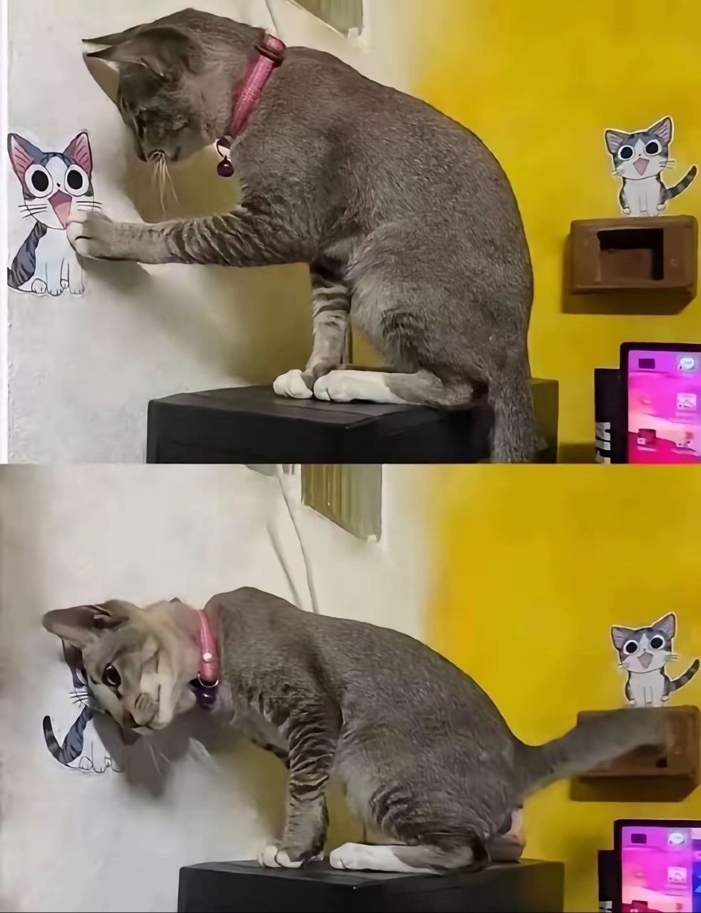 蹭蹭 