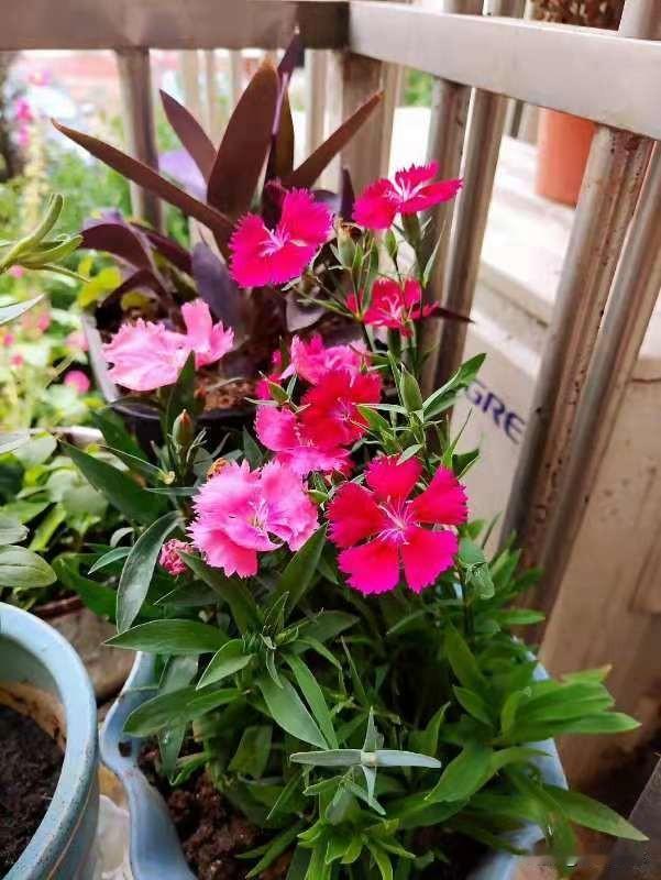 人生是不断寻找自我的过程。我们努力向上，不仅是让世界看到我们，更是为了让我们看到