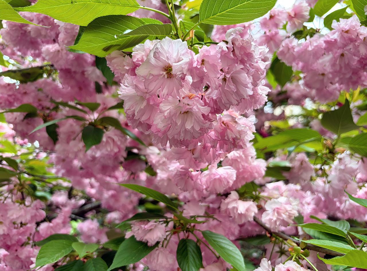 去年生了一场病，
看清了许多东西，
一些人，
一些事，
只要让自己情绪变得不稳定