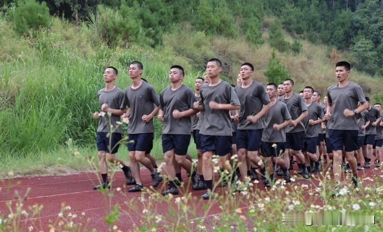 考不取大学本科当兵也是条好出路你的想法很务实。在学历门槛提升的当下，当兵确实是高