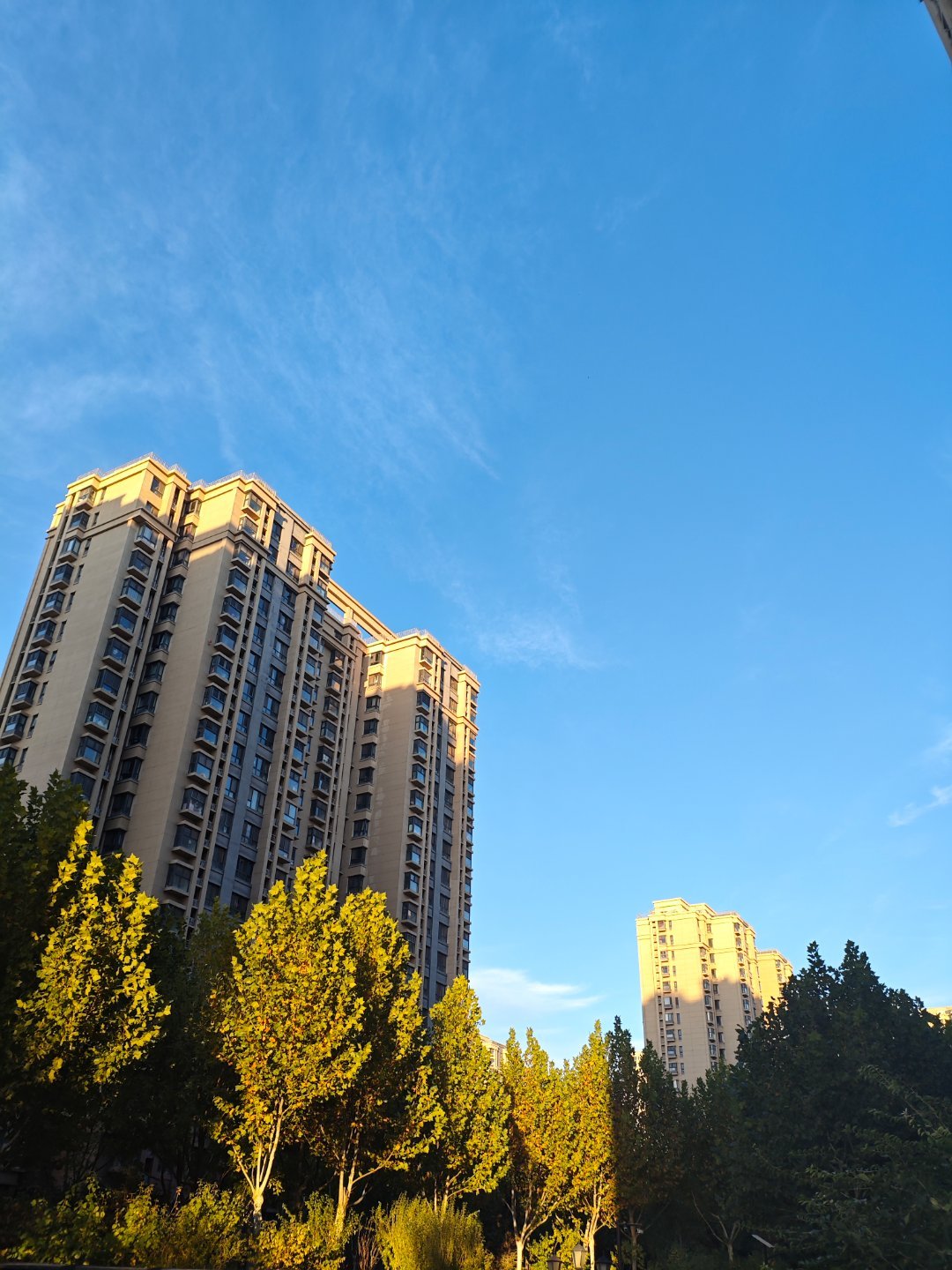 #北京市区的树叶为何迟迟未黄#【为何这几天北京市区里的叶子迟迟未红/未黄？】一般
