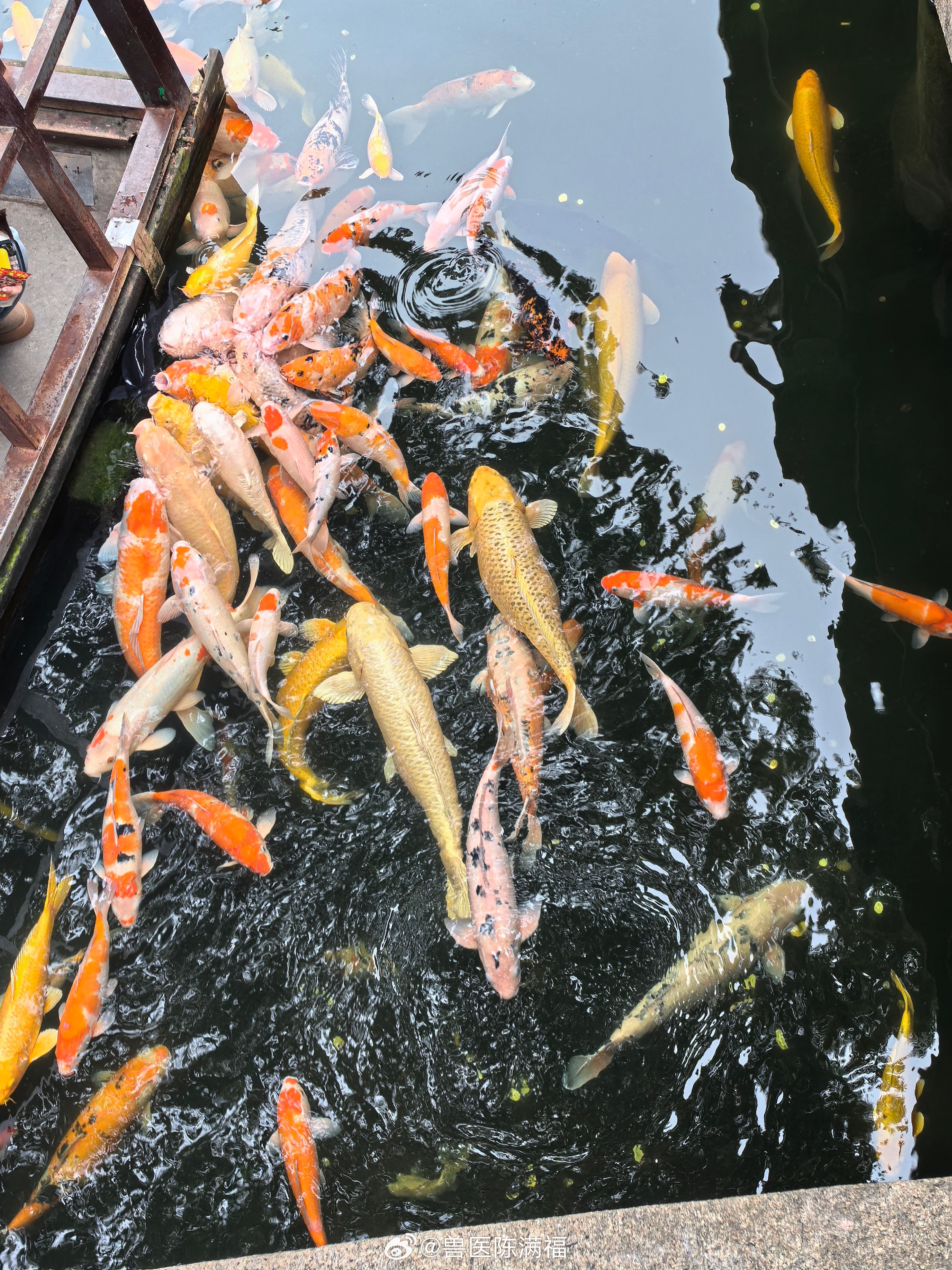 南京师范大学宋某某被免职 大学以这种方式出名，不过现在很多地方的名声都不好。大学