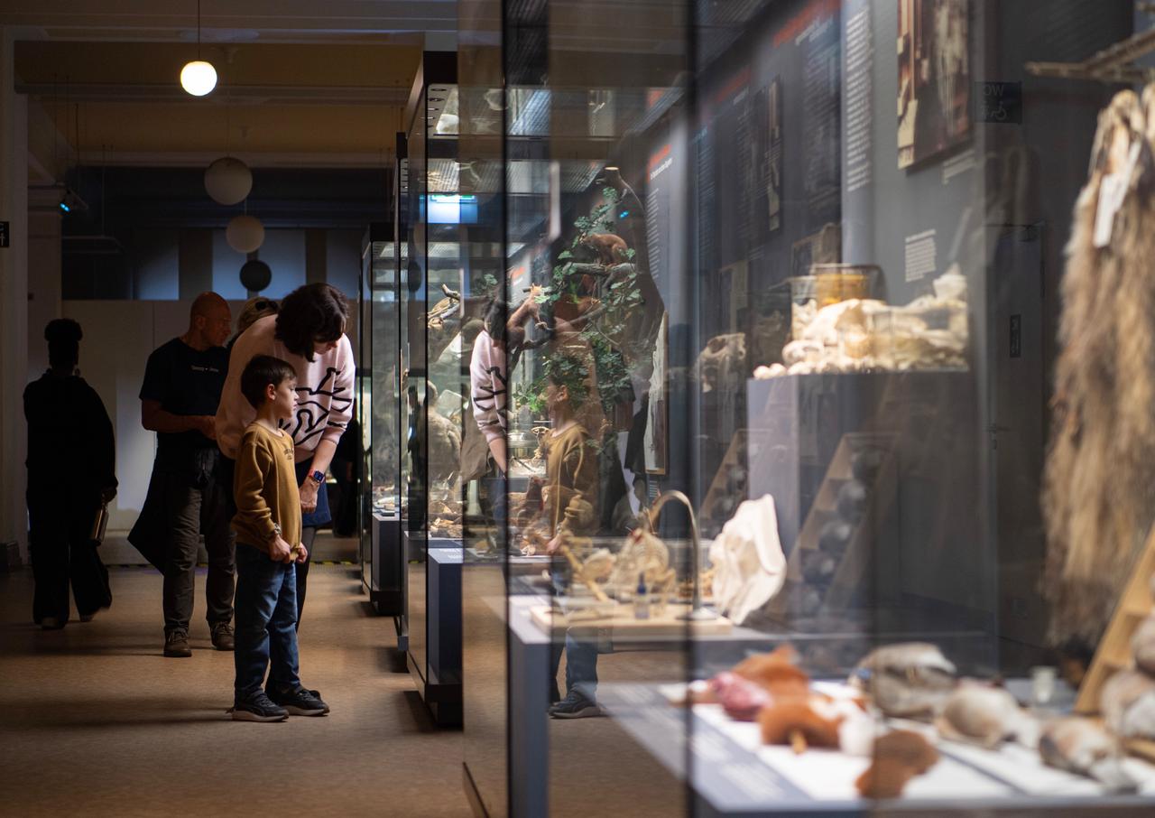 2025柏林科学周：与科学零距离！过去十天，柏林成为来自世界各地求知者的聚会之地