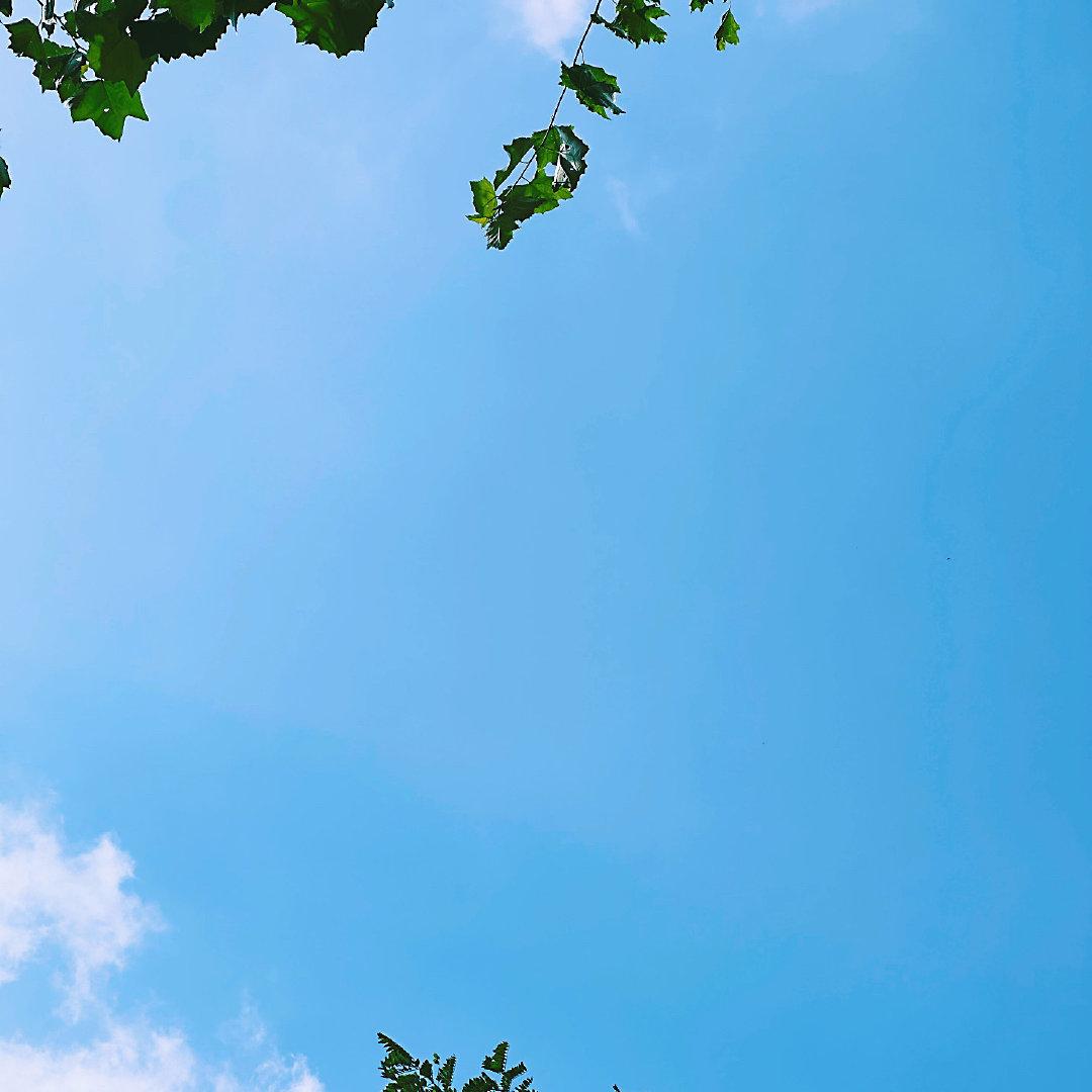 这个夏天，雨一场接一场的落着。而我习惯的北方夏日，朗晴，爽脆，午后突然而至一场骤
