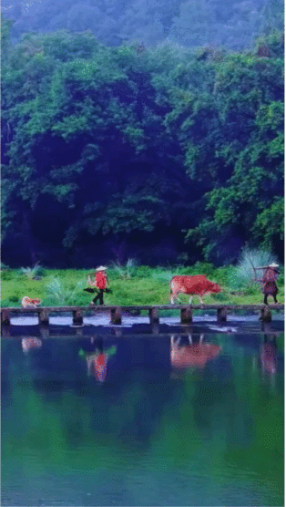 夸奖人间最美四月天(長‿安) 
赞人见人愛满分秒赚(健‿康) 
人逢清明时节敬先