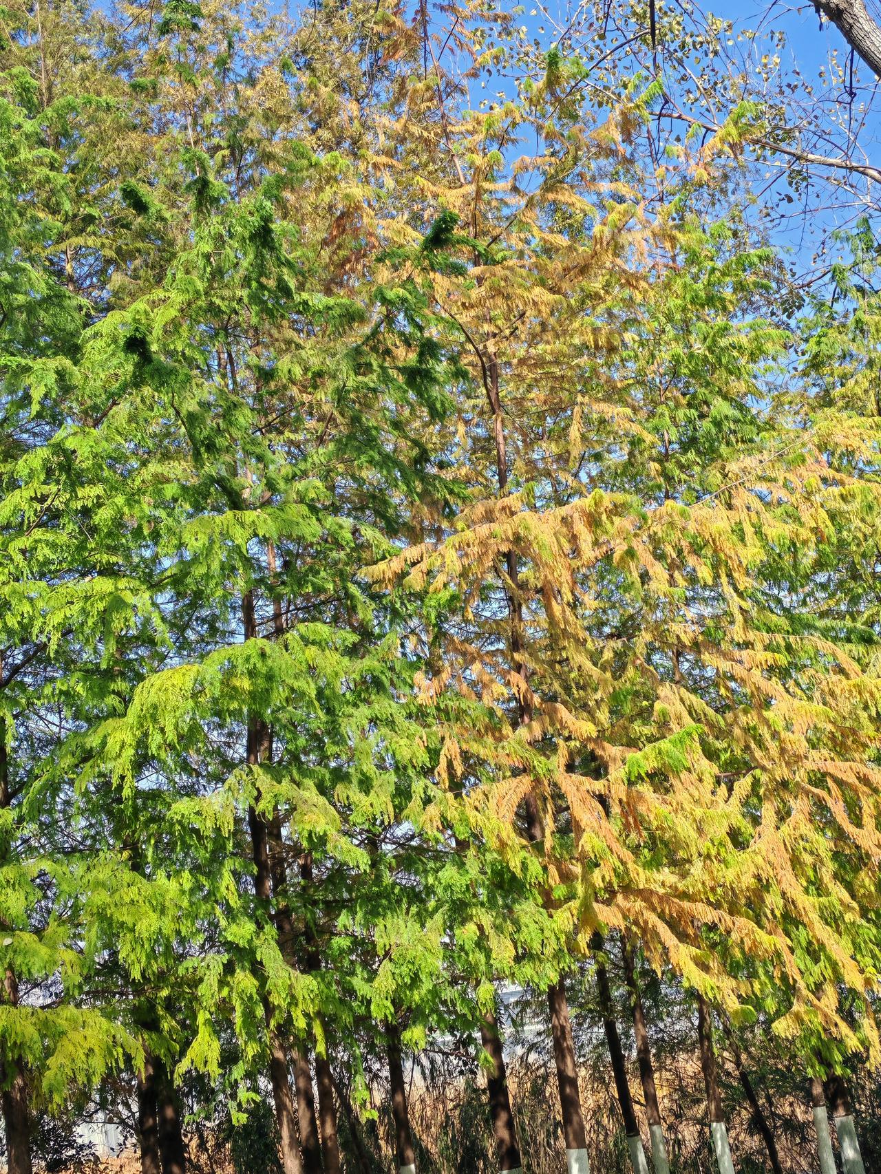 冬日生活打卡季汽车征文终于完成了，越写到后面越孤单。感谢朋友们的支持，下次征文再