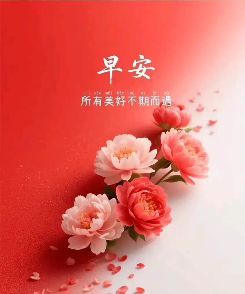 周二早上六点四十，手机一震，屏幕跳出早安语，配图是一朵粉玫瑰。
我眯着眼读完，心