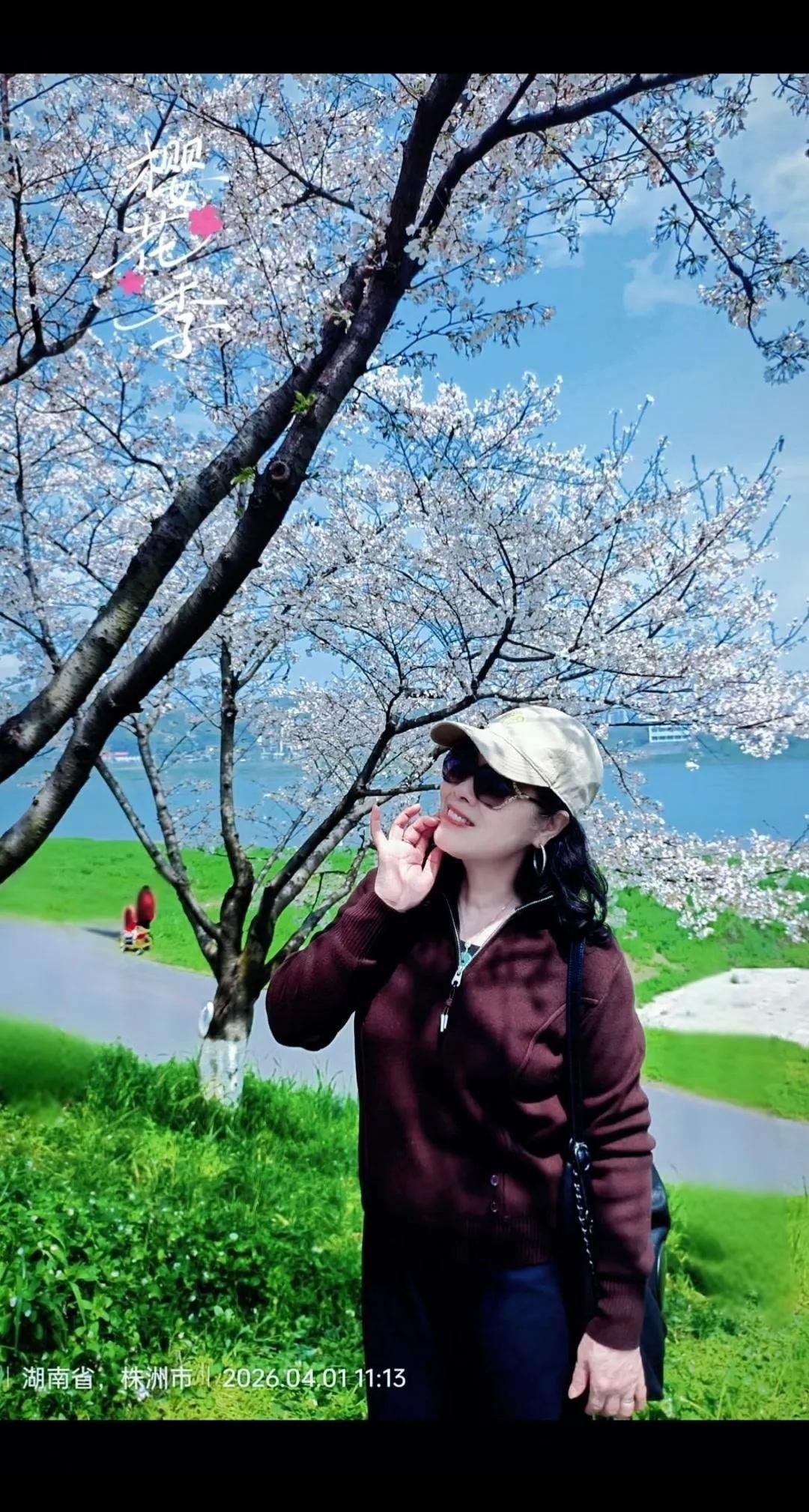 随手拍株洲春日赏花.樱花大道