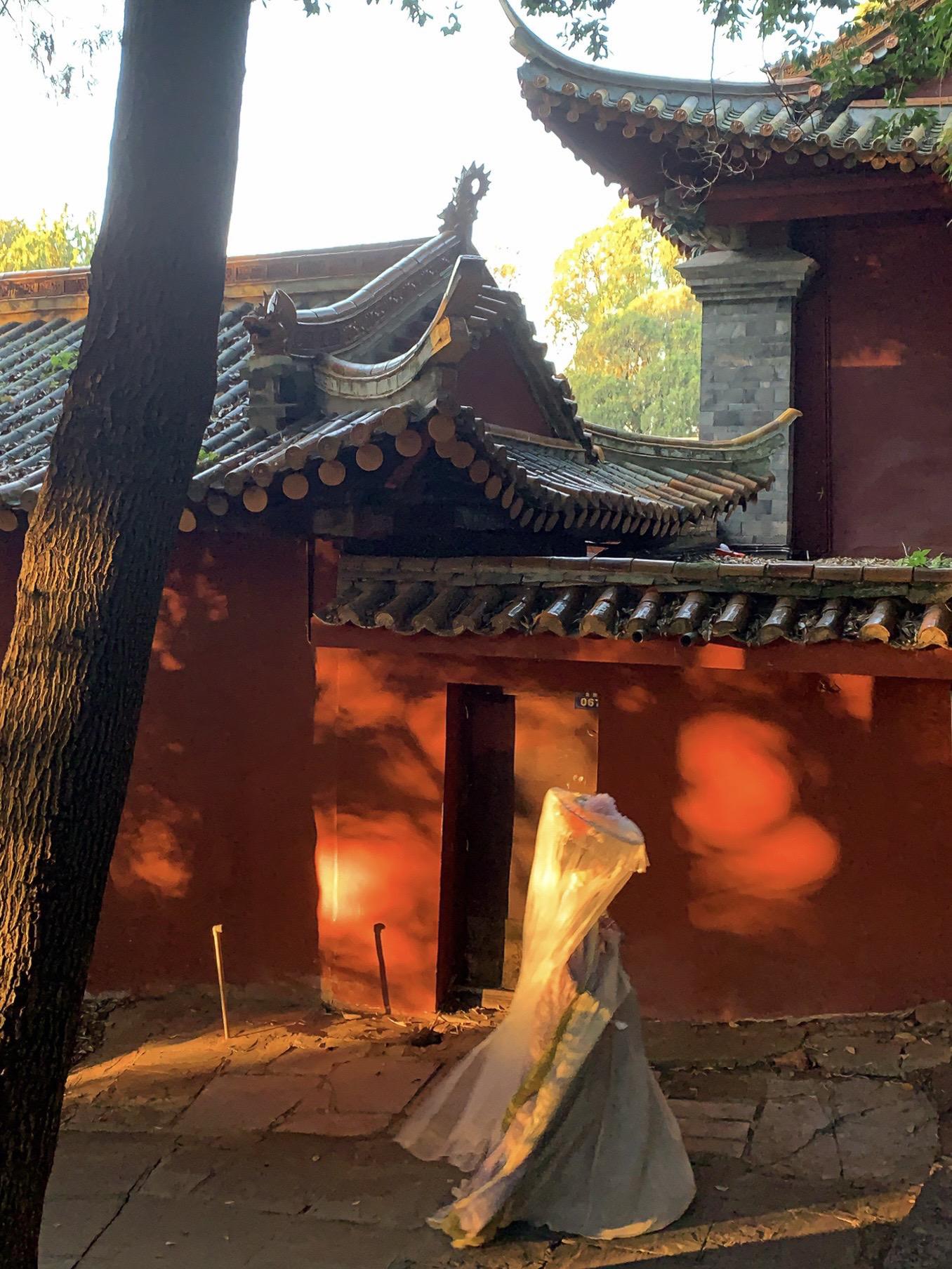 相思三千缠我身 几时再回那年春。