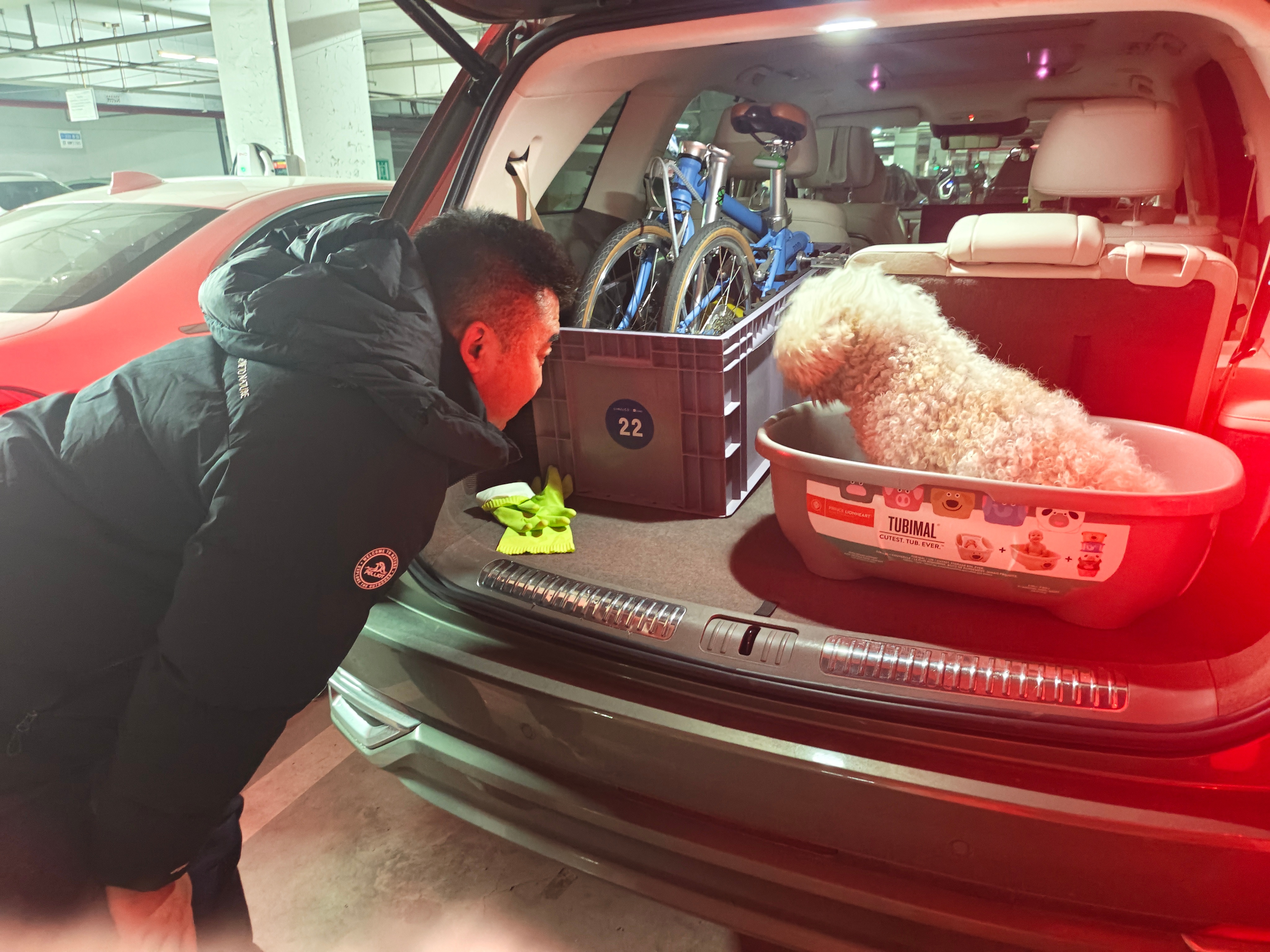 分享下昨天那只小狗的最新进展：今天早上经过邻居们的扩散，成功给他找到了主人。这只