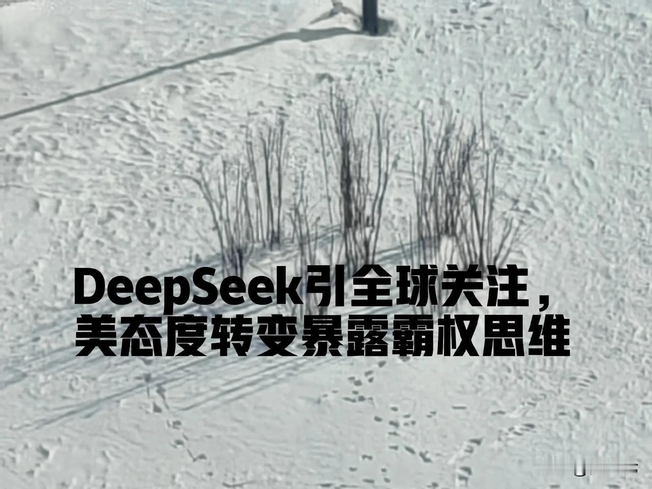 中国AI企业DeepSeek发布最新模型，以高性能、低成本赢得全球瞩目。

然而