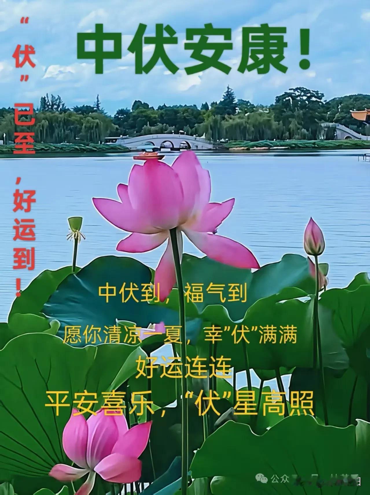 《七律·中伏自守》

中伏炎氛热浪飘，
消暑良方切记牢。
闲居静享开怀乐，
气顺