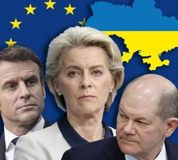 其实事实证明一旦欧盟把技术搞到手，中国企业再把工厂建起来，马上就会像非洲的尼日尔