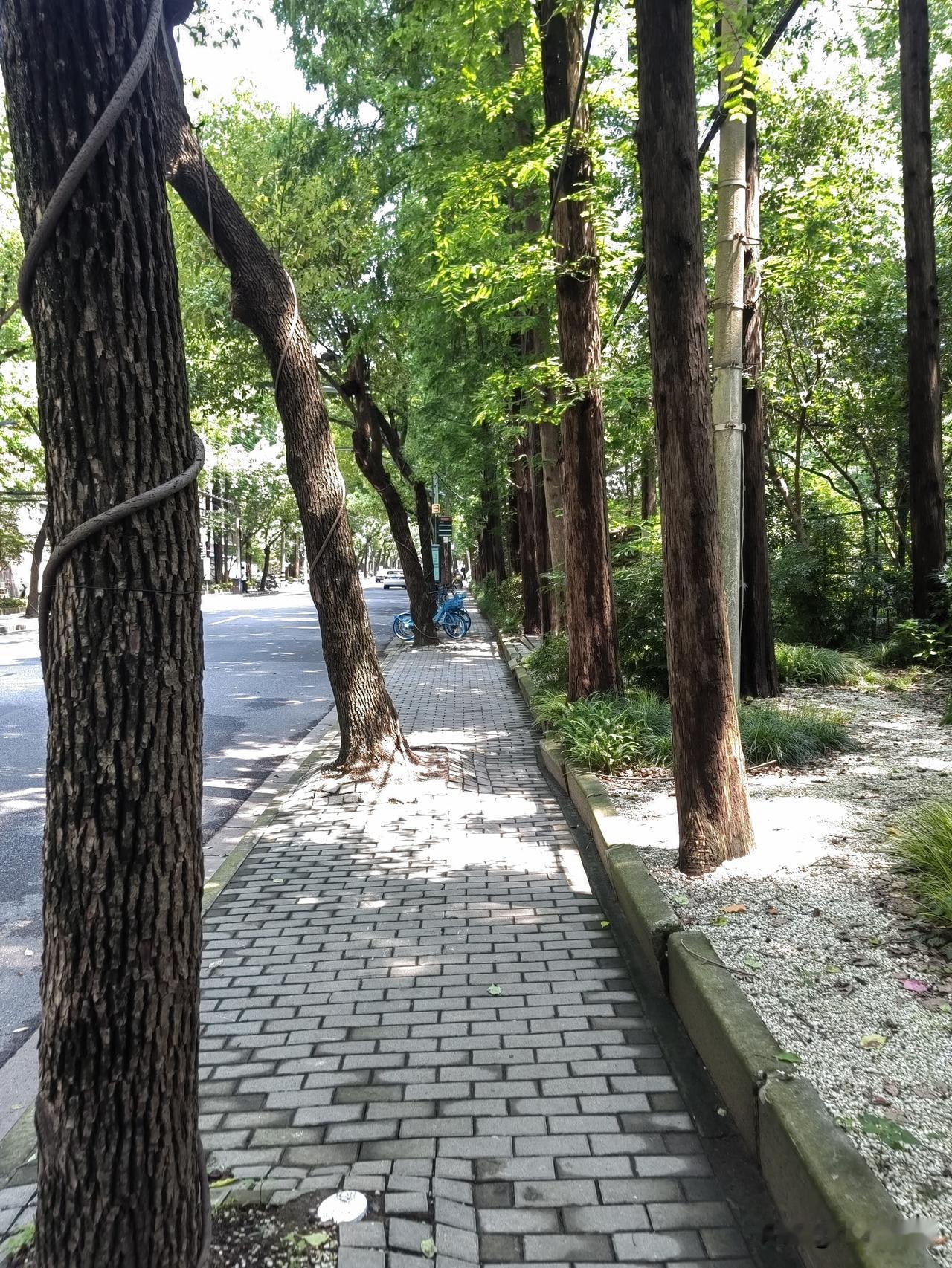 可以有，因为有些景点的确太分散，太远，又不安全，有统一的交通车，不仅对游客的要全