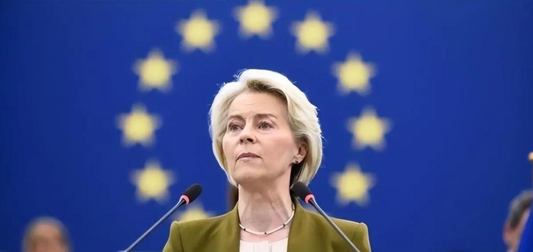 白眼狼一个！
欧盟突然对中国动手了！
南方财经1月29日电，据中国贸易救济信息网