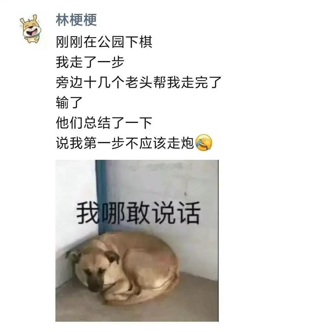 前浪们是喜欢这样对待年轻人的[笑cry][哈哈] ​​​