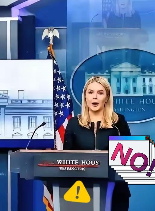 打脸来得太快！特朗普以为开卖H200芯片能拿捏中国，结果被直接拒之门外，白宫尴尬