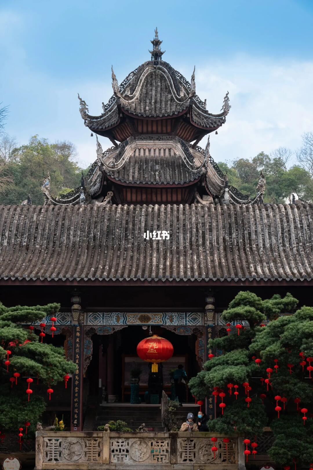 来自贡只看灯会？那你就白来了！