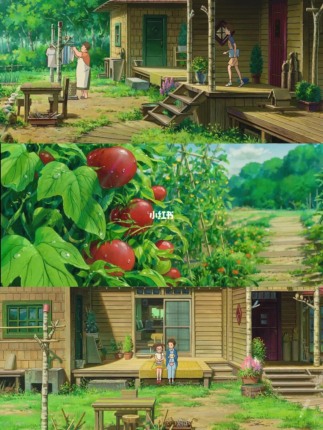 太治愈了吧❗不开心时都去看它❗️