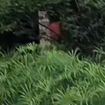 #每日一善[超话]#你如果缓缓把手举起来，举到顶，再突然张开五指，那恭喜你，你刚