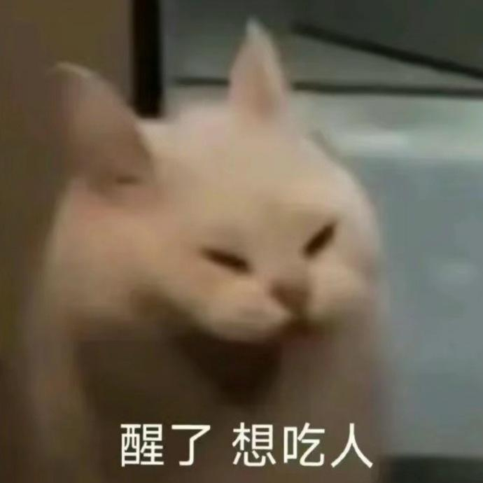 你们喜欢看啥东西呀 能不能在评论区说一下 我尽量整点大家喜欢看的活 