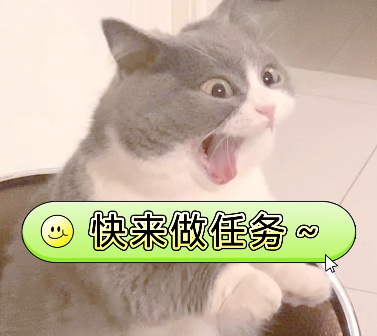 4.17新发，大家来做品牌书局！转赞评，多发一些评论，切耗！追觅 抽J  网页链