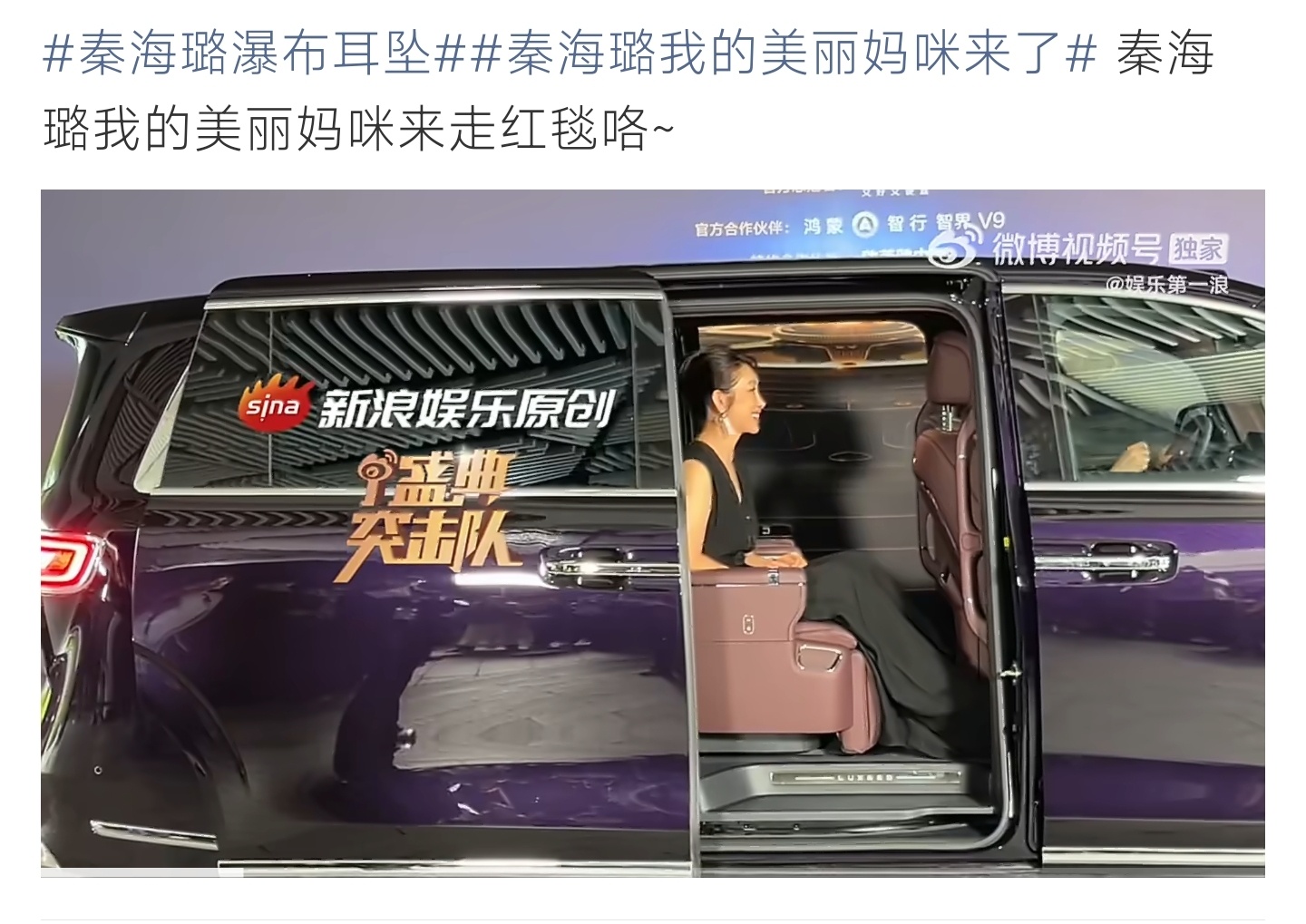 秦海璐瀑布耳坠谁被秦海璐的瀑布耳坠美到了？红毯上又美又飒，气场拉满 