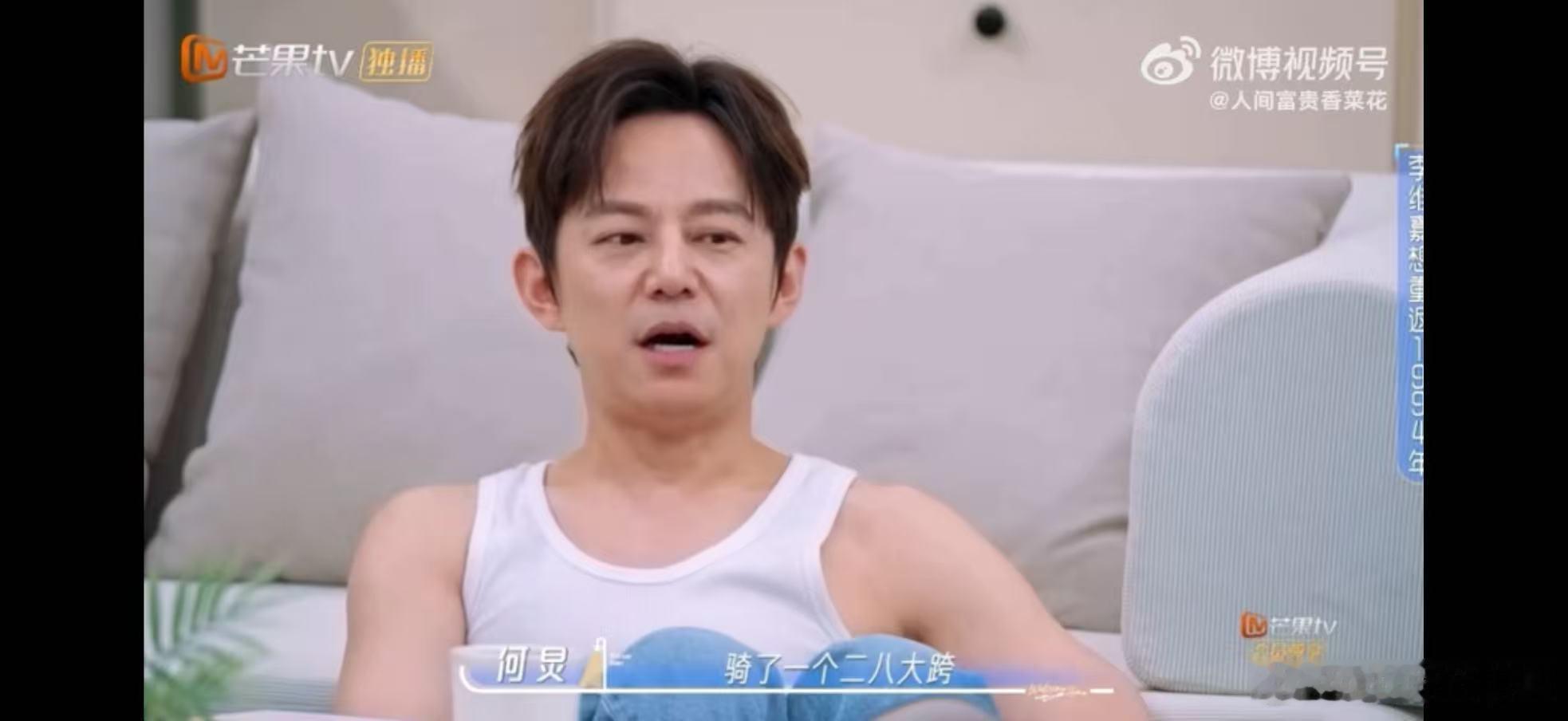 何炅李维嘉1994年命运齿轮开始转动何炅李维嘉许我耀眼维嘉说许我耀眼，原来是当年