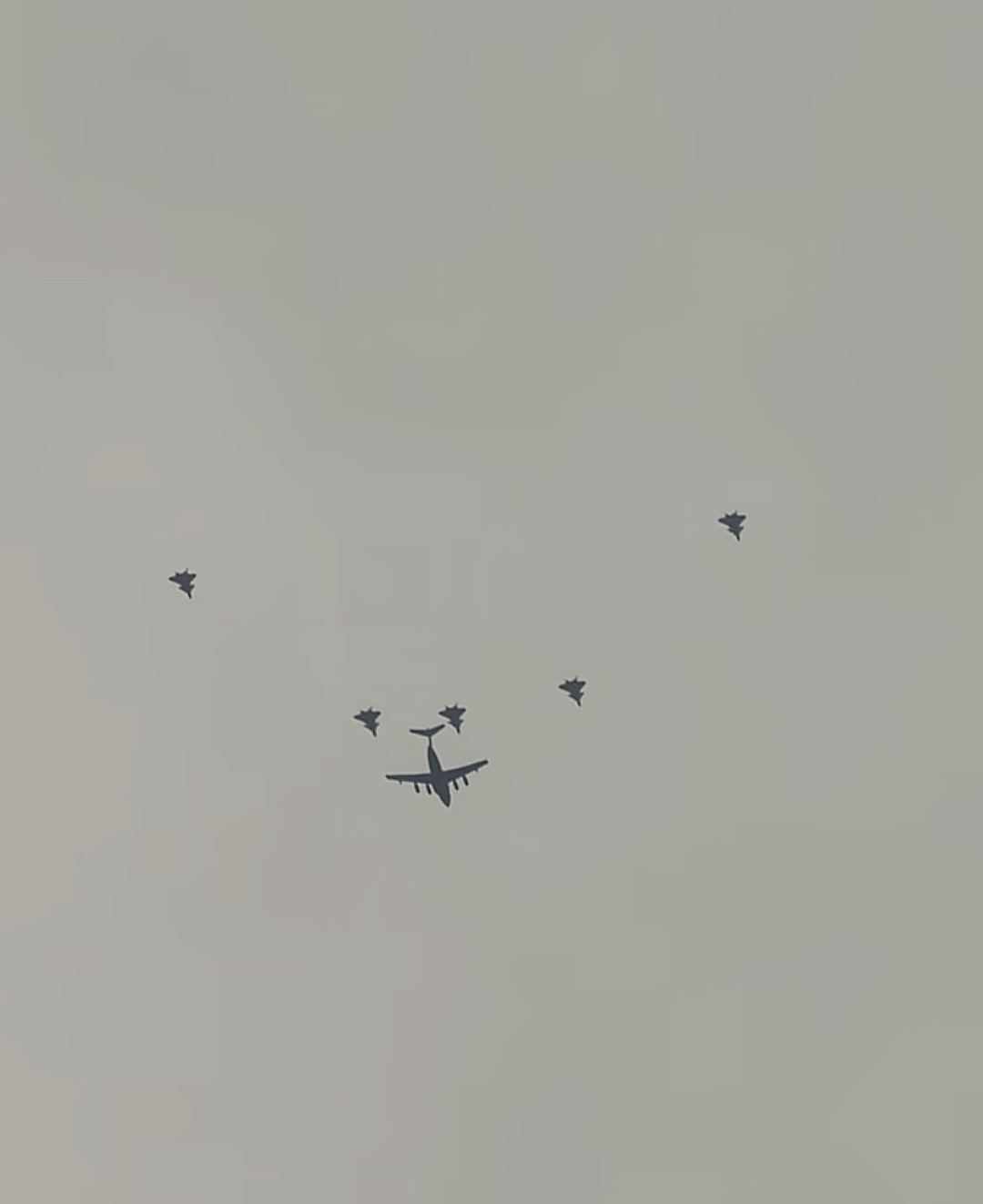 DY上总能刷到这样的目击视频 