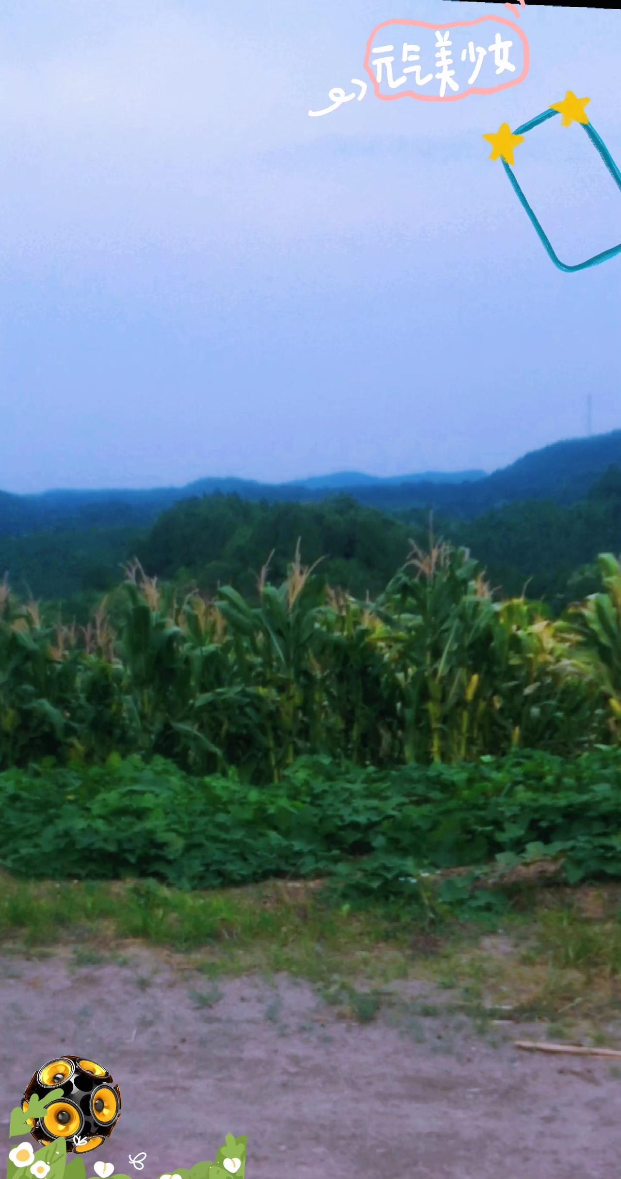 村乡土情结