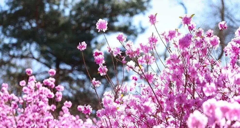 家乡原风景随拍