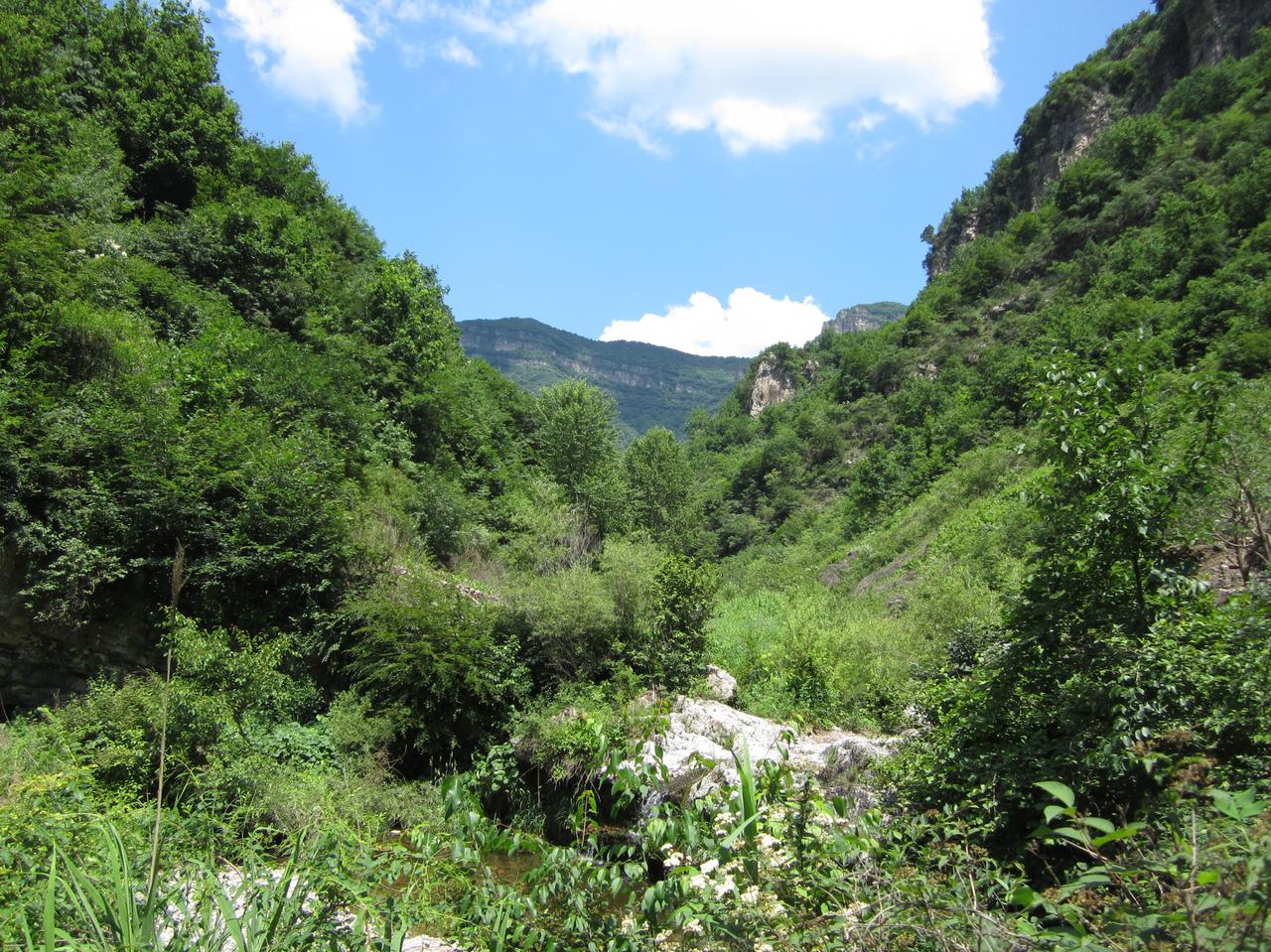 小以这是要上天了，不仅派出几个师要占领小黎南部地区，还要准备向小土发动攻击？
