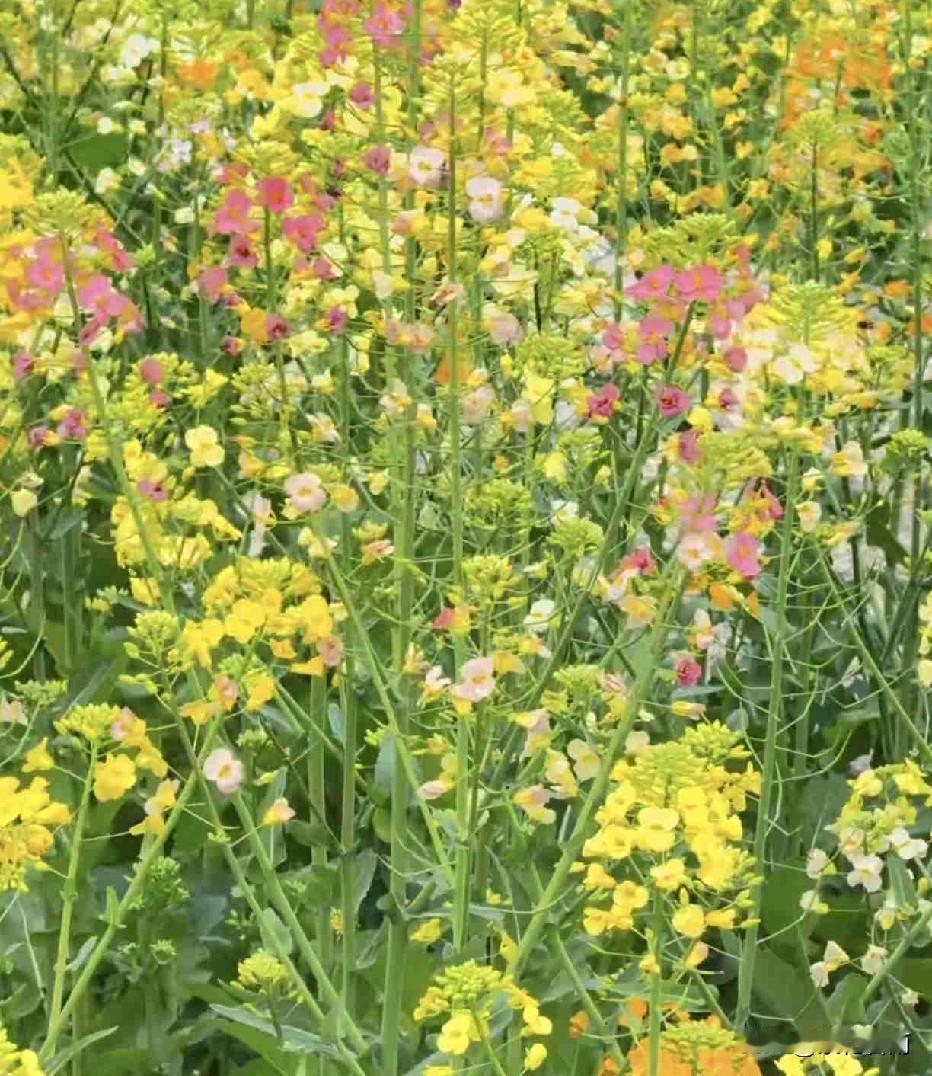 新一轮的带定位打卡活动又来了，不知道上一次活动领了多少钱，还是继续打卡吧。

带