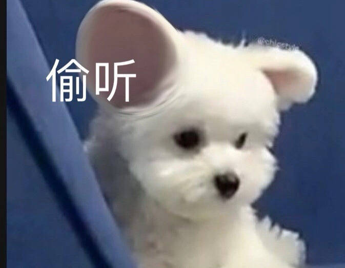 好无聊，你们在干嘛 ​​​