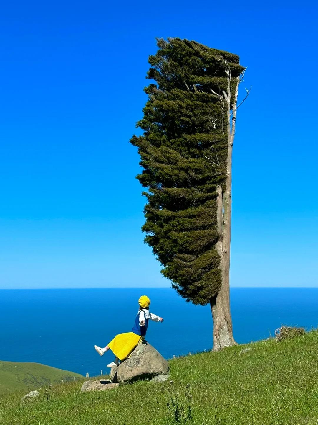 头条现在的风向开始变了
教人赚钱成了最大的流量密码
晒收益比写作品更赚钱
有人在