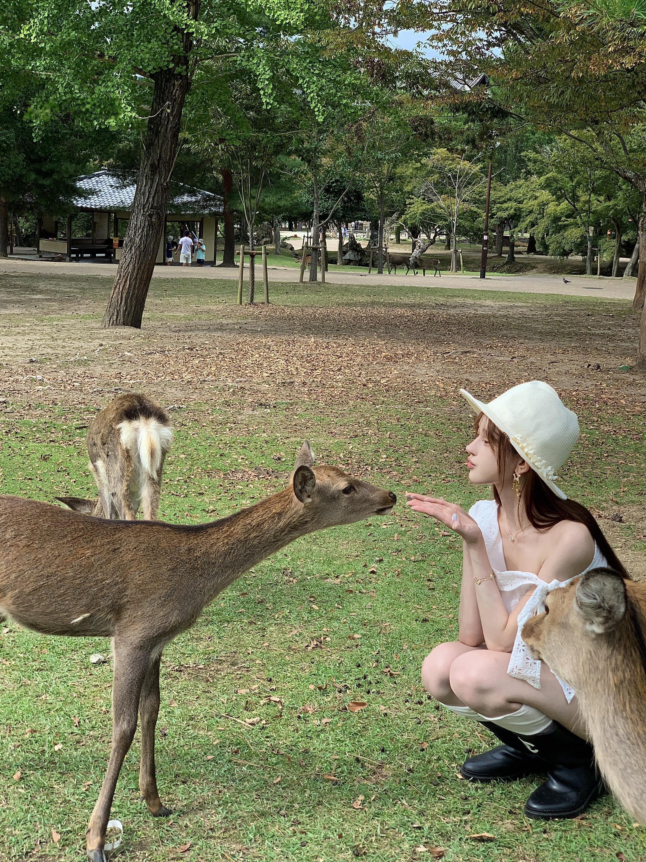 𝒊𝒏 𝒏𝒂𝒓𝒂 📗🦌