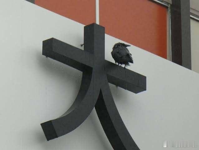 【 欢迎来到「犬宫駅」 】 