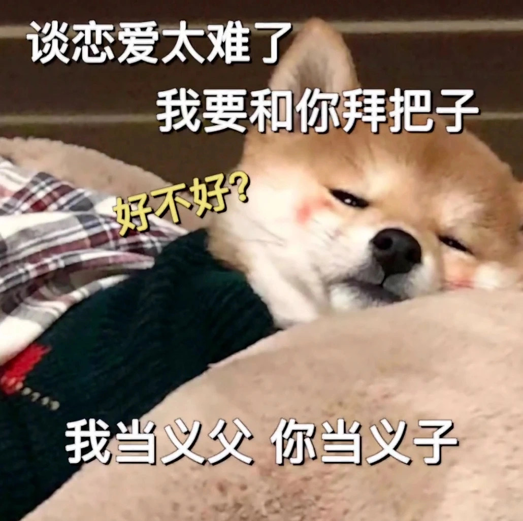 一些适合发疯的表情包 ​​​